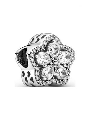 Pandora Charm Timeless 799224C01