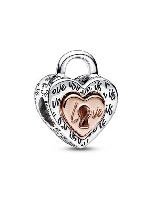 Pandora Charm Moments 782505C00